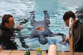 憋气世界纪录的保持者有多猛？一口气在水里憋24分钟，小菜一碟图片