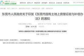 广东省东莞市城区(国有土地)房屋征收拆迁补偿安置标准2023图片