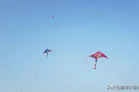 春光正明媚，风筝飞上天图片