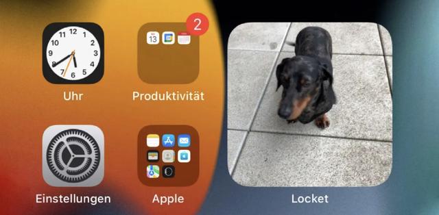 ������ TikTok�����������罻���ץסŷ��������