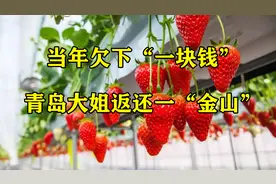 吃一口草莓，欠“一元巨债”，为一口“囊气”，还一座“金山”图片