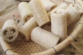 一个专通经络的中药，家家都有，配一味泡水，还能治这5种病图片