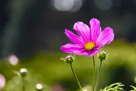 异性关系中，女人真正动心的样子，别不懂图片