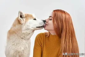 舔狗经济之所以崩盘，是因为男人们认识到舔了也会白舔图片