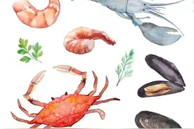 风湿免疫专家张卓——吃海鲜喝啤酒伤肾痛风，是真的吗？图片