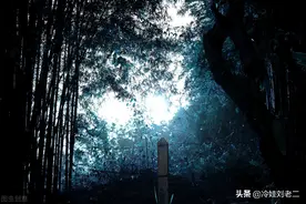 亲身经历：走夜路遇上鬼打墙，翻山越岭满身伤痕却不知，醒来后怕图片
