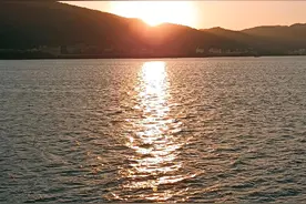 关于人事代理图片