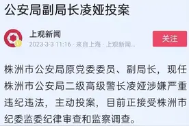 警花凌娅的投案，太子奶老总的举报，5人小组一个不剩匪夷所思！图片