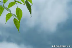 前列腺炎频繁反复，痛苦不堪？这个时方消炎又治炎图片