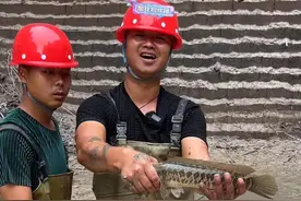 大表哥矿坑捕鱼终于开始了！抽水十天成功收割鳄雀鳝事件流量图片