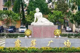 「乡愁记忆」张露萍：永不凋零的巾帼玫瑰图片