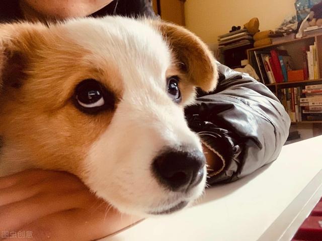 开场白聊天幽默搞笑表情包,不尴尬情商高的开场白,幽默的搭讪撩妹开场