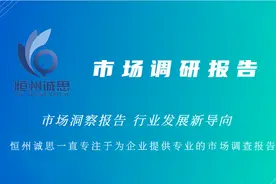 充电式钻孔电动工具行业市场调研报告2023-2029图片