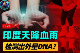 印度连下2个月血雨！雨粒子中夹杂神秘生物，检测DNA竟不属地球？图片