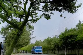 一九八三年的青岛，这曾是似曾相识的一幕，一转眼就成了珍贵回忆图片