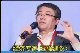 经济专家王强。说的真好图片