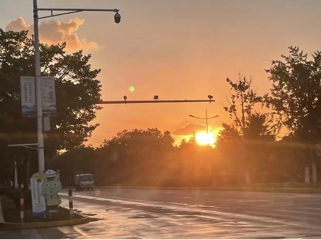 太有用了！高中生物新版必修一全册知识点清单，超详细