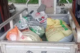 6.2日江苏、山东尿素、小麦、玉米价格午报图片