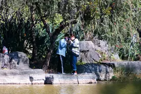 毕业照拍摄技巧汇总！你想要的都在这了图片