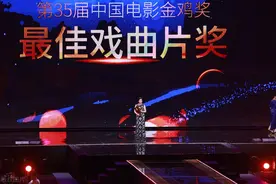 全国政协委员、上海沪剧院原院长茅善玉：《敦煌女儿》为沪剧打开了一扇窗图片