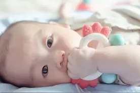 天津二附属生产日记（3）图片