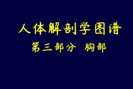 图示集‖人体解剖学图谱之第三部分胸部图片