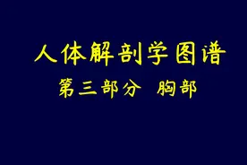 图示集‖人体解剖学图谱之第三部分胸部图片