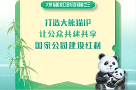 打造大熊猫IP 让公众共建共享国家公园建设红利——大熊猫国家公园系列报道之三图片