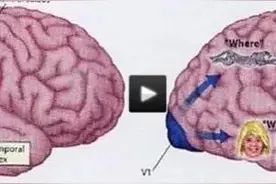 一名男性每天讲7000个字，女性则高达2万，为何女性话这么多？图片