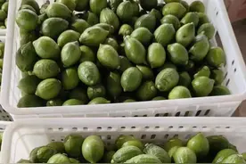 为什么香水柠檬近几年这么的火爆？香水柠檬你想知道的全在这里图片