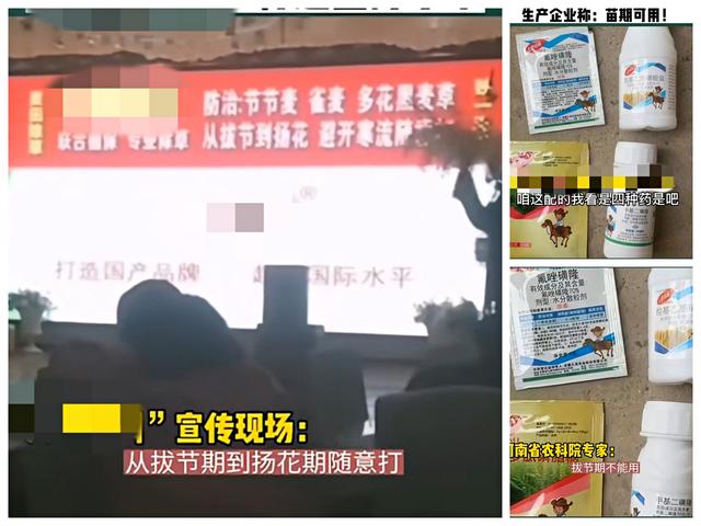 河南60亩小麦疑因药害绝产，“万能除草剂”甲基二磺隆是宝还是害