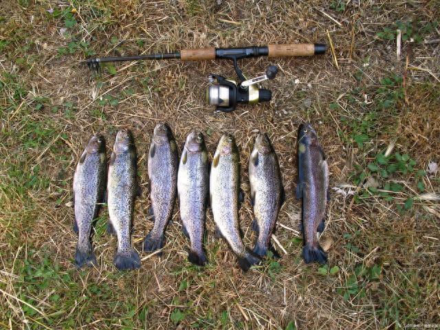 ����������ߡ����������֮·�ǰ���