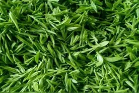 经常喝茶的注意了，那些茶叶不为人知的“秘密”？图片