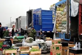 终于明确了！这些常见的货物统统不属于绿通，走高速不免费图片