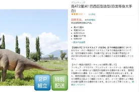 日本亚马逊的段子手，有多“深井冰”？图片
