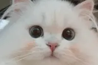 2022年秋季小学积分入学办法实施细则最新发布！厦门六区都有图片