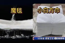 水族省钱避坑：水族用品省钱指南，看完能省好几百！图片