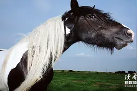 一个家庭最大的悲哀：凡事从家人身上找原因图片