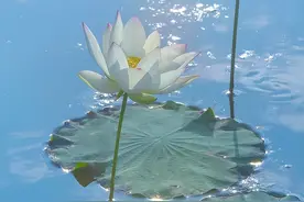 被摩羯座拿捏得“死死”的两个星座，太深情，太感性图片