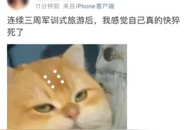 第一批“军训式旅游”的大学生，腿已经累瘸了图片