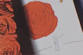 小王子的爱情是真的图片