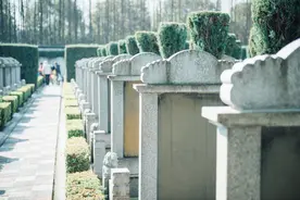 “殡葬专业就业率百分百”，小众冷门专业到底香不香？图片