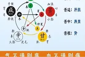 人体五行原理图片