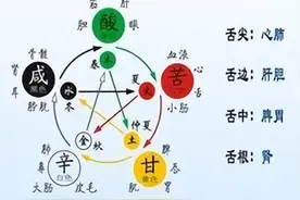 人体五行原理图片