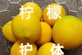 柠檬遭遇疯抢！它的维生素C含量还不如青椒图片