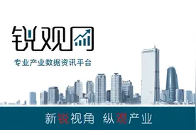 2023-2028年中国大健康产业全景调查及投资咨询报告图片