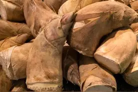 孩子吃多了，“积食”危害大图片