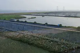 万里碧道！春节假期来南沙，看广州最美海岸线图片