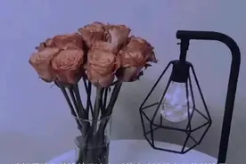 情感文案｜“值得你收藏进备忘录的文案。”图片