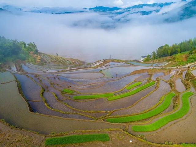 醉美拍点推荐 | 尤溪联合梯田:千年农耕绘就斑斓画卷